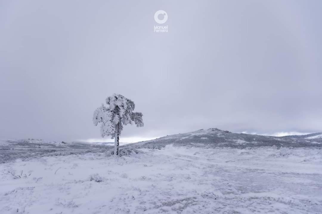 Apartmán O Salgueiro Melo Exteriér fotografie